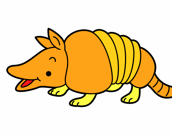 Armadillo joven