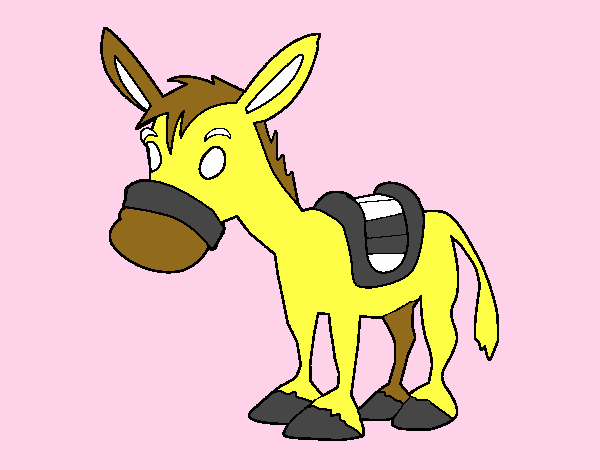 Burro de granja