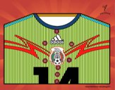 Camiseta del mundial de fútbol 2014 de México