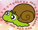 Caracol bebé