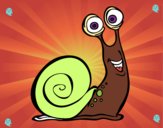 Caracol feliz