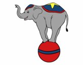 Dibujo Elefante equilibrista pintado por yuliavila