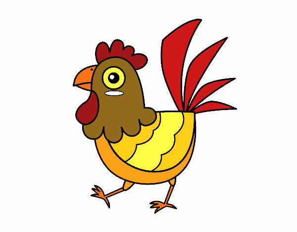 Gallina de granja