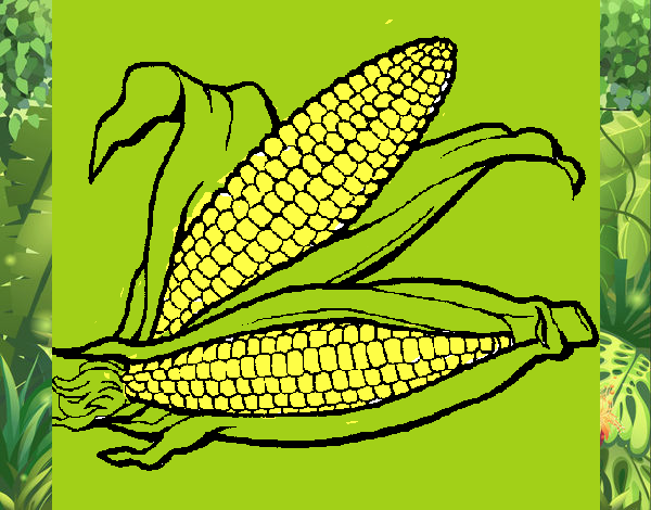Dibujo Mazorca de maíz pintado por pepela