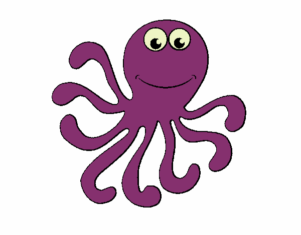 Pulpo 2