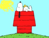 Snoopy durmiendo