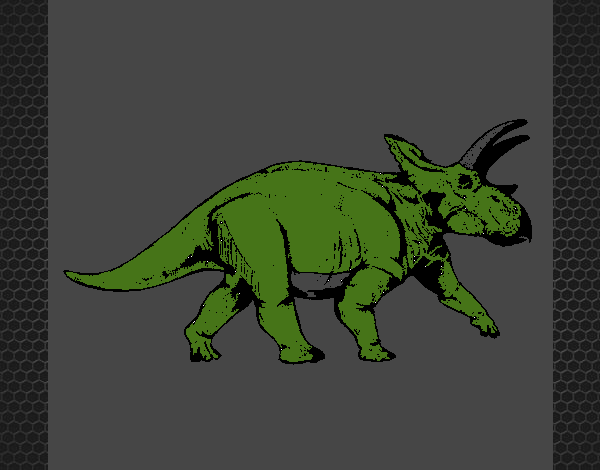 Triceratops 1