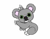 Un Koala