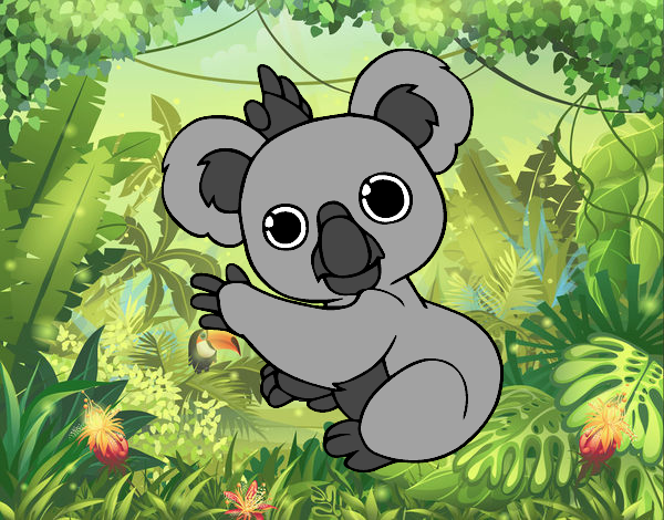 Un Koala