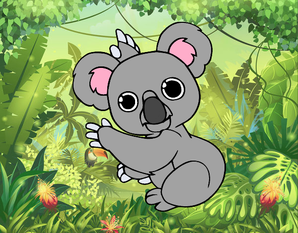 Un Koala