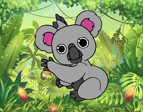 Un Koala