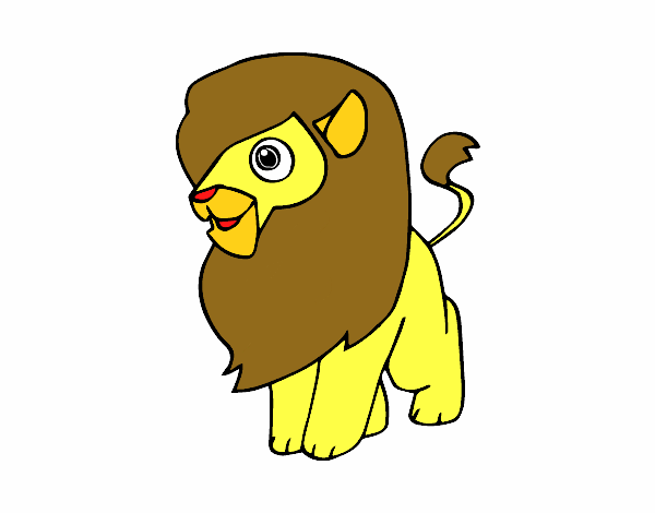 Un león