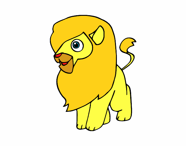 Un león