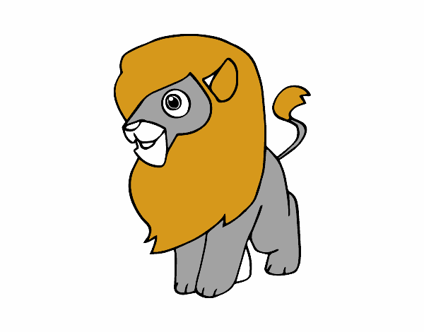 Un león