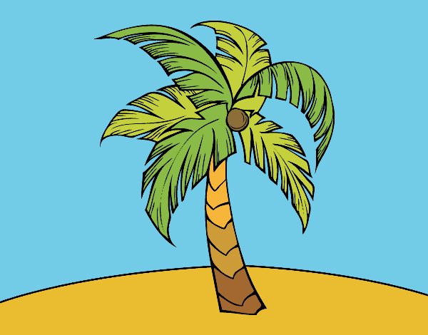 Una palmera