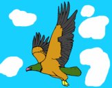 Águila volando