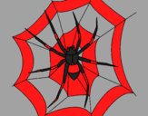 Araña