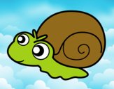 Caracol bebé