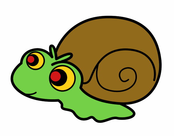 Caracol bebé