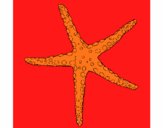 Estrellita de mar