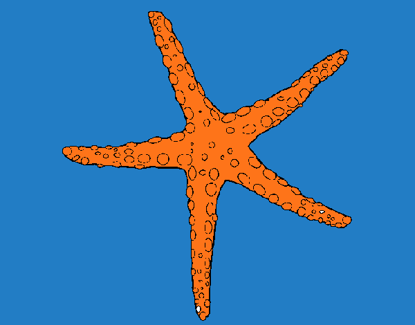 Estrellita de mar