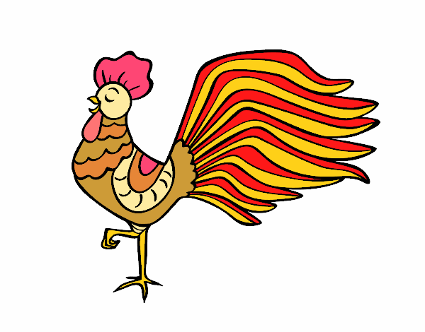 El Gallo creido