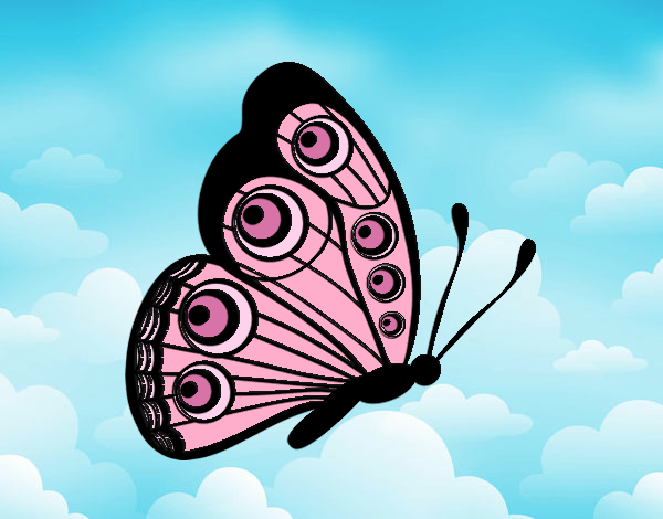 Dibujo Mariposa dirección derecha pintado por sofia04