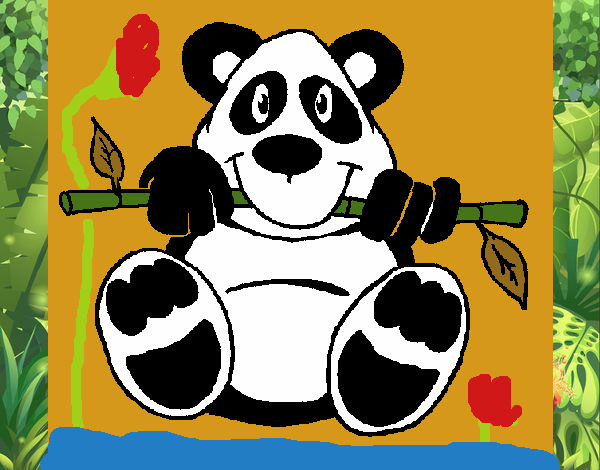 Oso panda