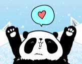 Panda enamorado