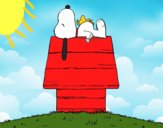 Snoopy durmiendo