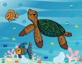 Dibujo Tortuga de mar con peces pintado por linda423