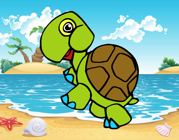 estoy en la playa con mi tortuga
