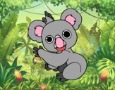 Un Koala