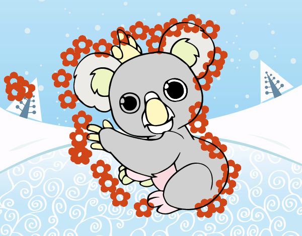 koala  bonito