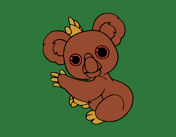 koala