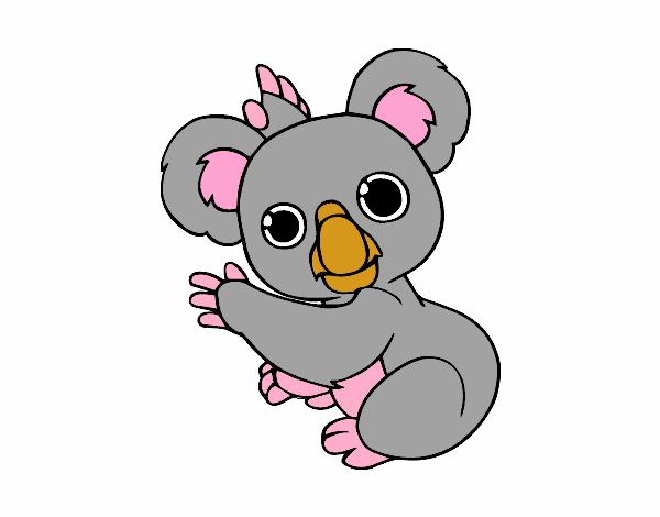 Un Koala