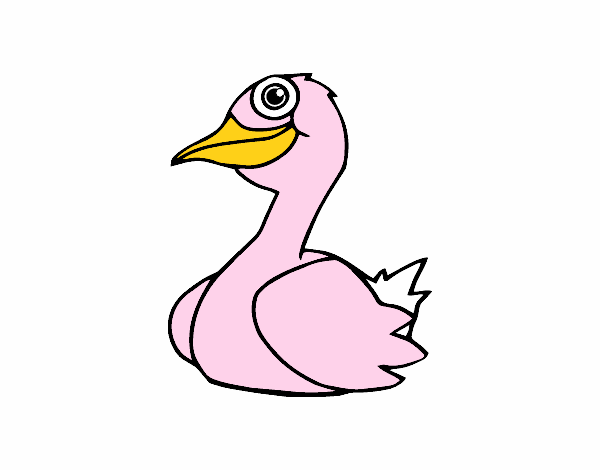 Un pato