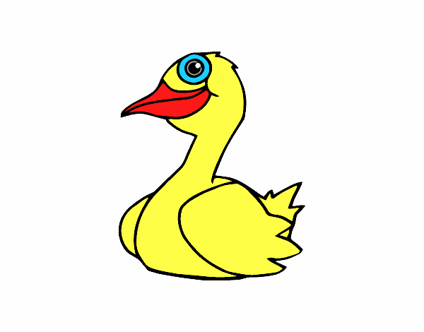 Un pato