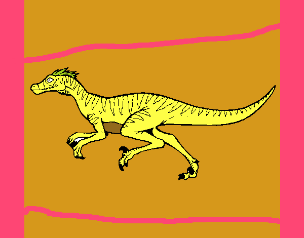 Velociraptor