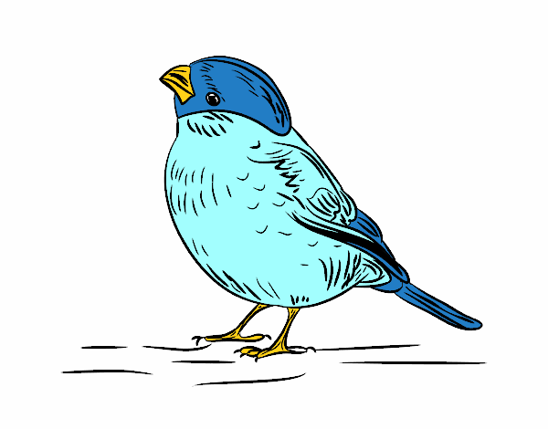 el pajaro azul