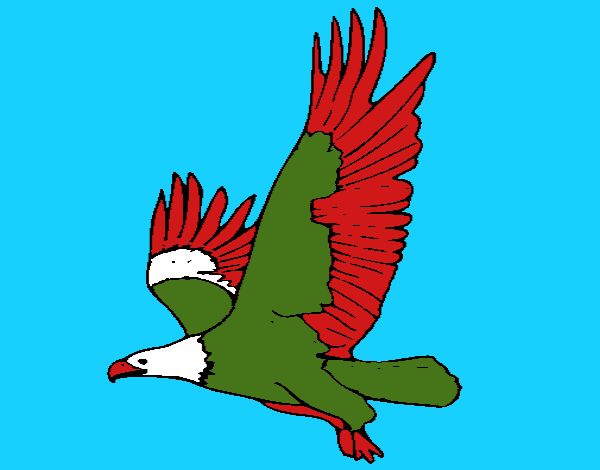 Águila volando