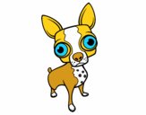 Dibujo Chihuahua pintado por toychica1