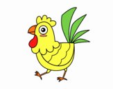 Gallina de granja