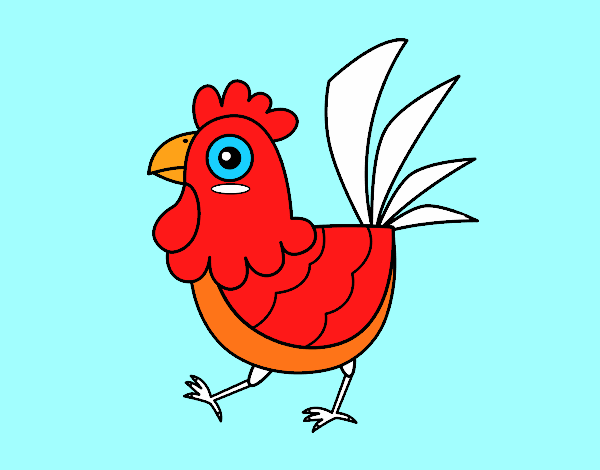 Gallina de granja