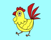 Gallina de granja