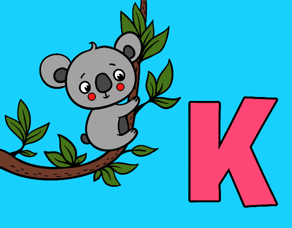 K de Koala