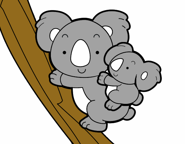 Madre koala