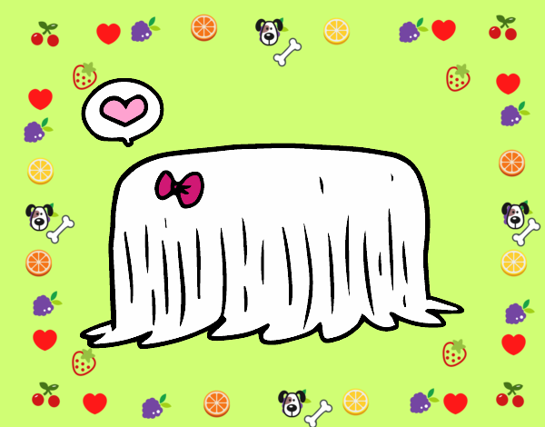 Perro komondor