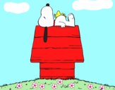 Snoopy durmiendo