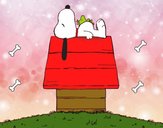 Snoopy durmiendo